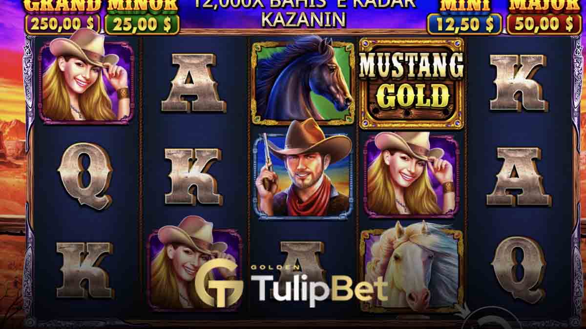 Tulipbet 2025 slotları