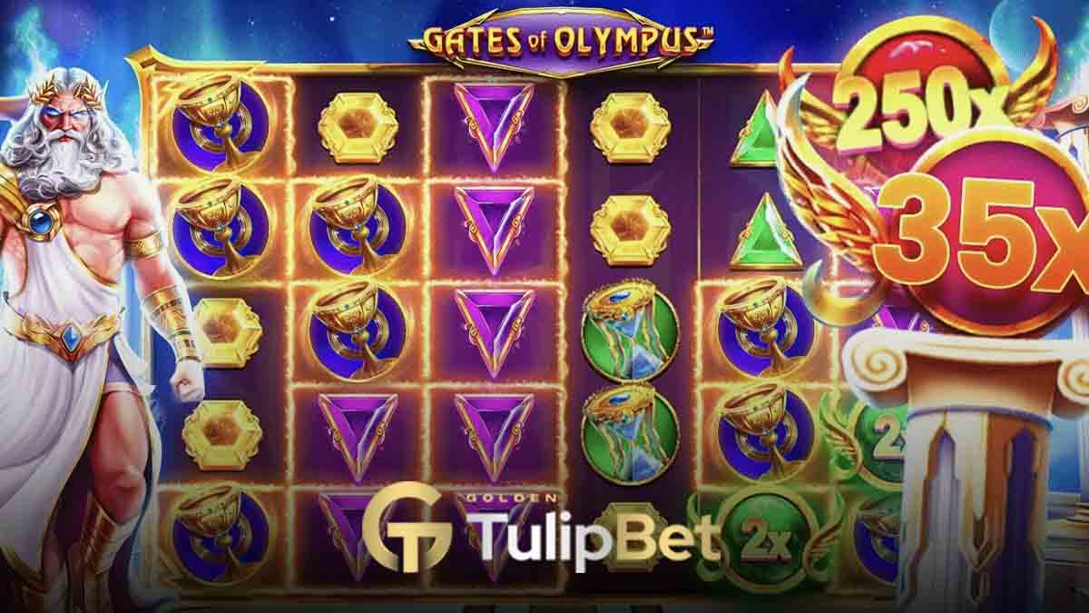 Tulipbet Gates of Olympus