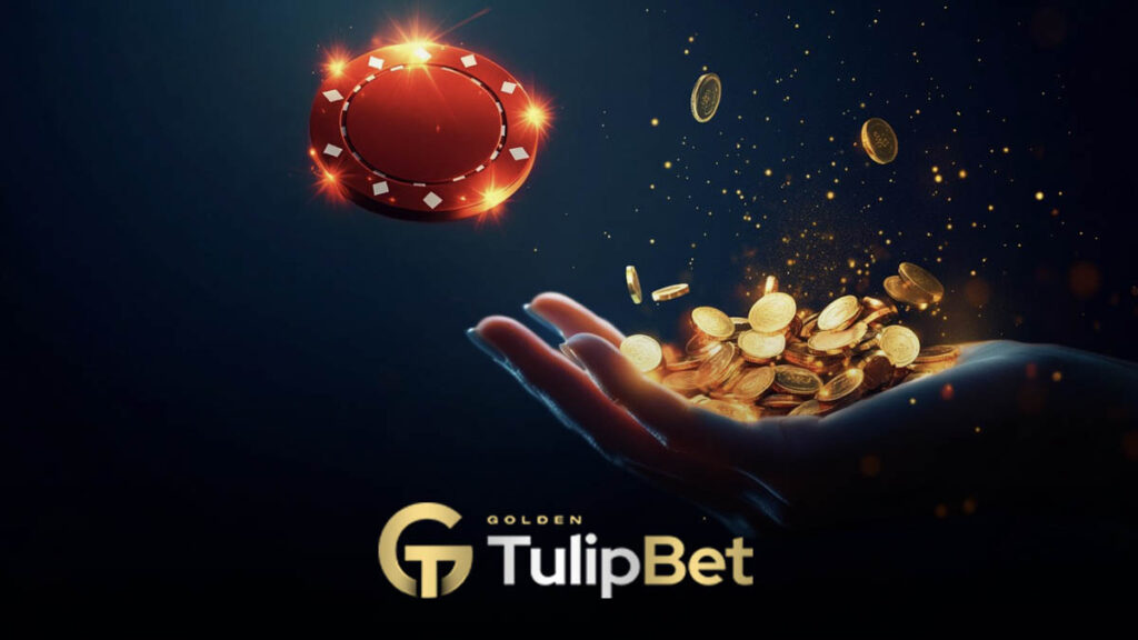 Tulipbet yatırım promosyonları